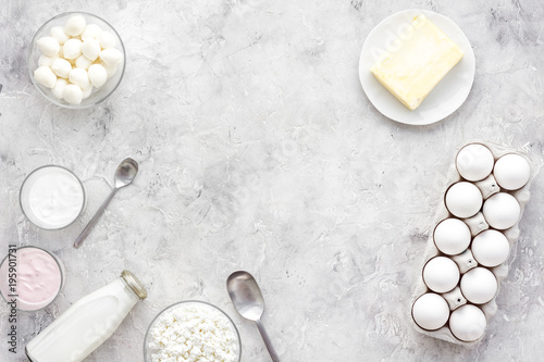 Natural farm products. Milk, cottage, eggs, cheese, yougurt on grey background top view copy space. Monochrome