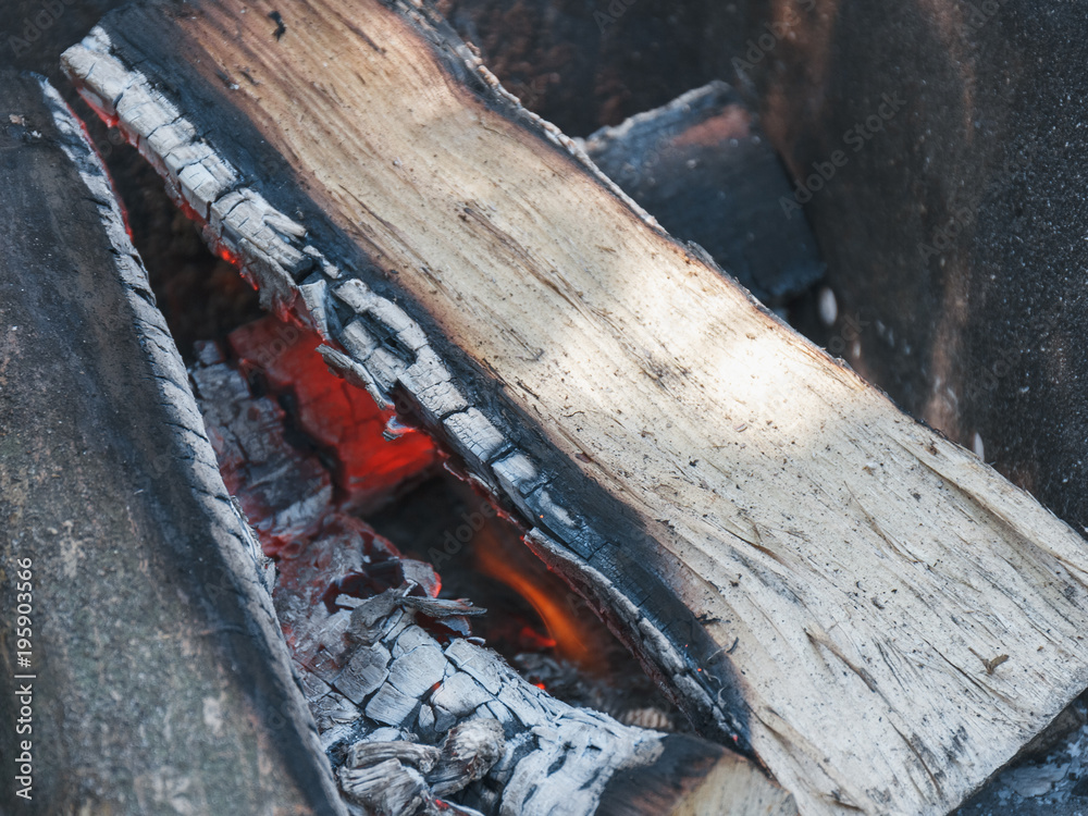 The wooden logs burn in the campfire before cooking a food on a picnic. The wooden logs burn in the campfire before cooking a food on a picnic.