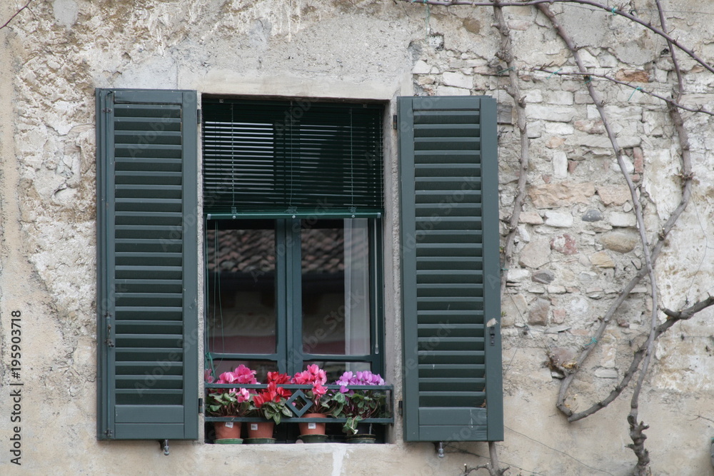 window with the flowers italy