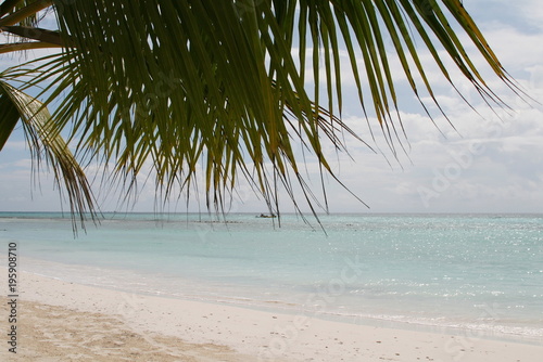 tropical landscape with white sand blue water and palm leaves 