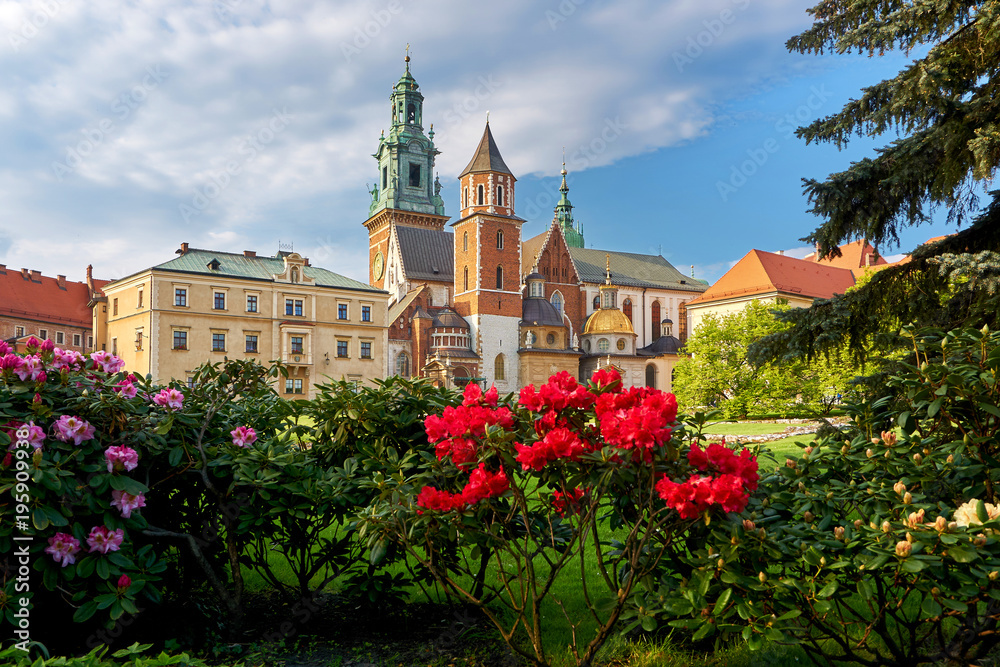 view on towers of castle wawel in poland