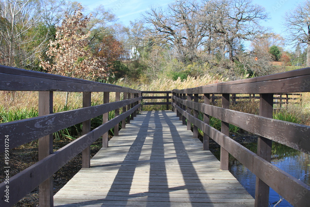 Bridge Over Water