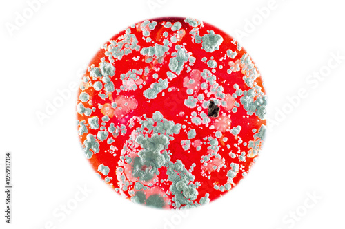 Mold on red juice, isolated on white background