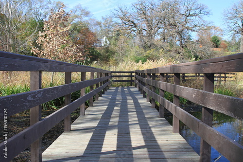 Bridge Over Water