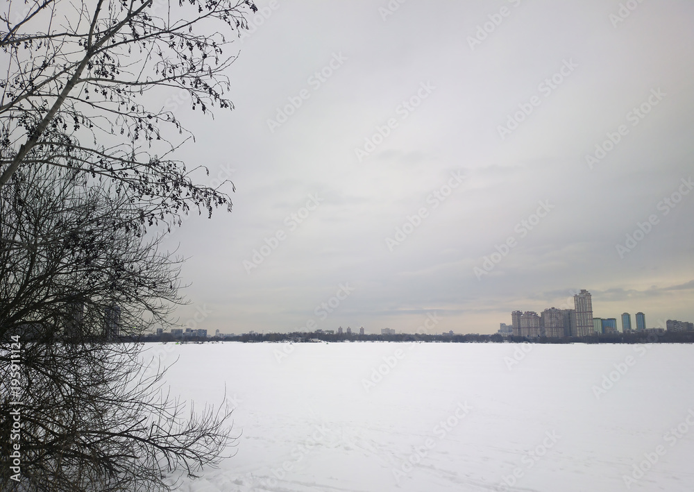 Fototapeta premium Left aligned tree on city background
