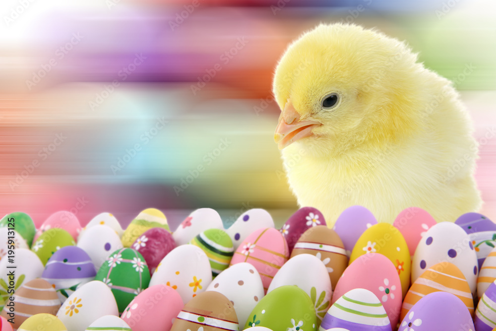 Hand-painted Easter eggs and chicken are some of the more well-known symbols accompanying Easter during the Christian religion.
Hand-painted Easter eggs and chicken are some of the more well-known symbols accompanying Easter during the Christian religion.