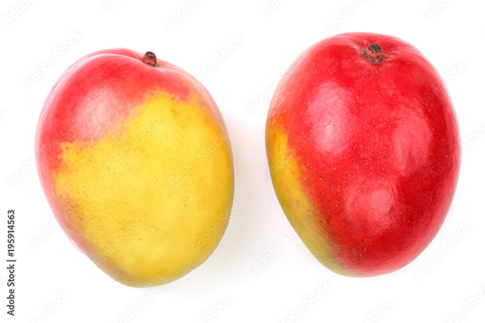 Mango fruit isolated on white background close-up Mango fruit isolated on white background close-up