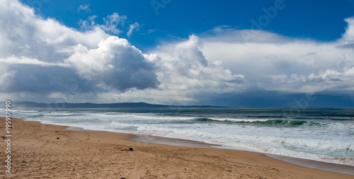 Marina State Beach