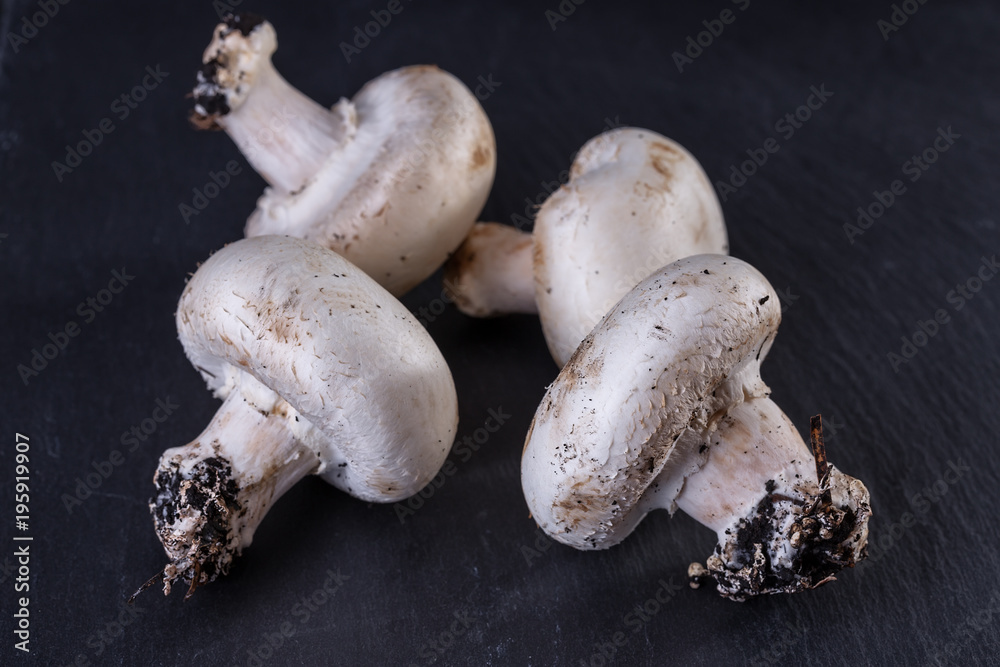 Fresh mushrooms champignons on black stone background. Close-up. Fresh mushrooms champignons on black stone background. Close-up.