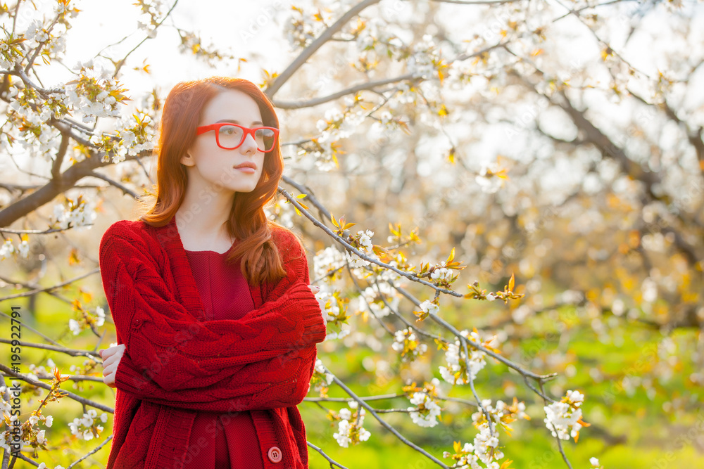 girl in red clothes in blossom cherry garden girl in red clothes in blossom cherry garden