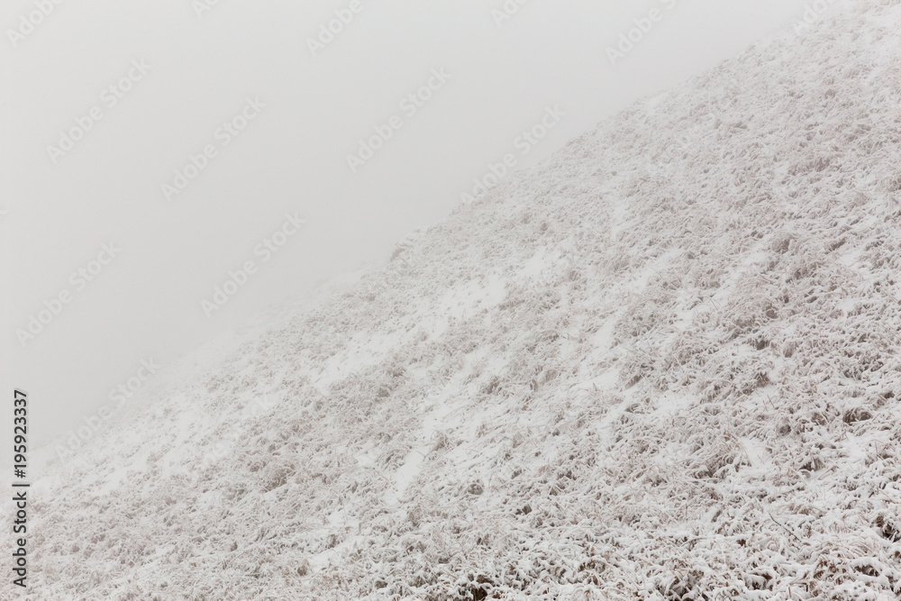 Fototapeta premium Fog in Mountain, Mazandaran, Iran