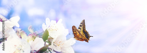 Der Frühling ist da!