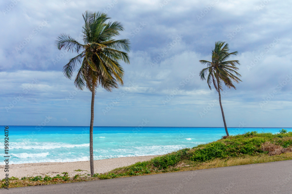Perfect Caribbean empty beach with azure sea and two high green palm trees Perfect Caribbean empty beach with azure sea and two high green palm trees