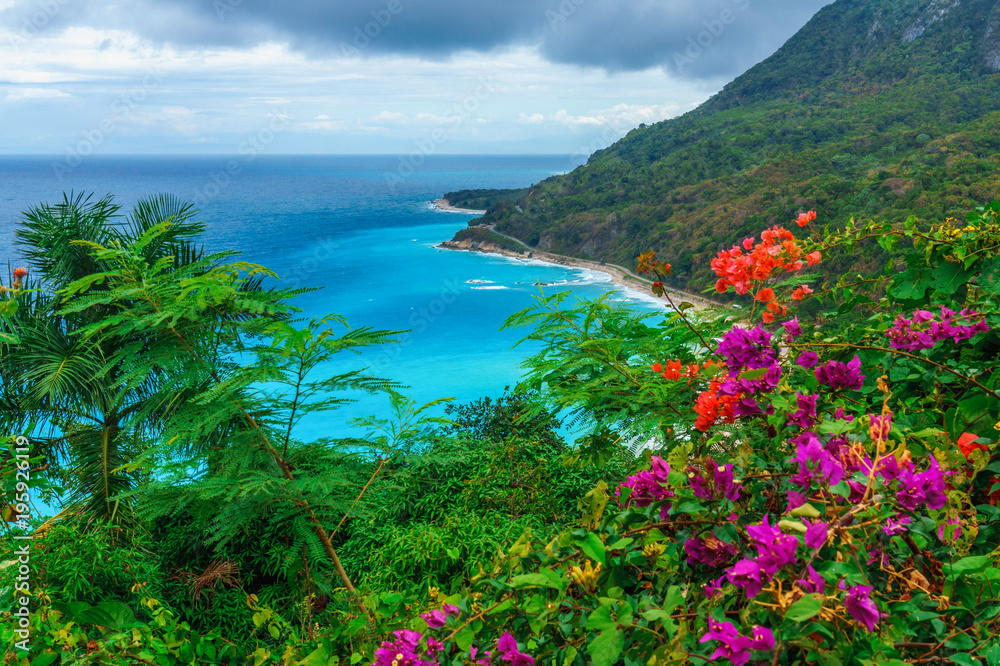 adorable natural wild landscape with rocky mountains overgrown dense green jungle tree, palm and clear azure water of sea ocean