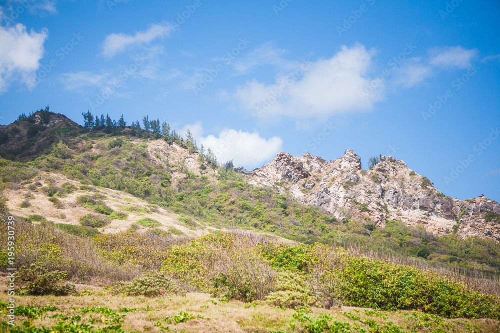 A Panoramic View of a Landscape, in Barbados, Limestone, Rock, Hills