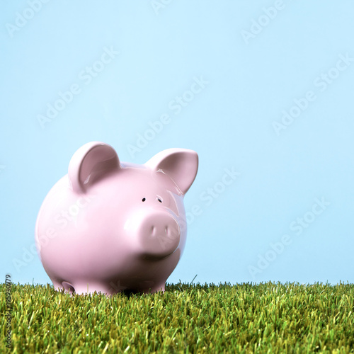 Pink piggy bank or piggybank in a summer meadow or field green grass blue sky planning money for rainy day retirement or vacation photo square format