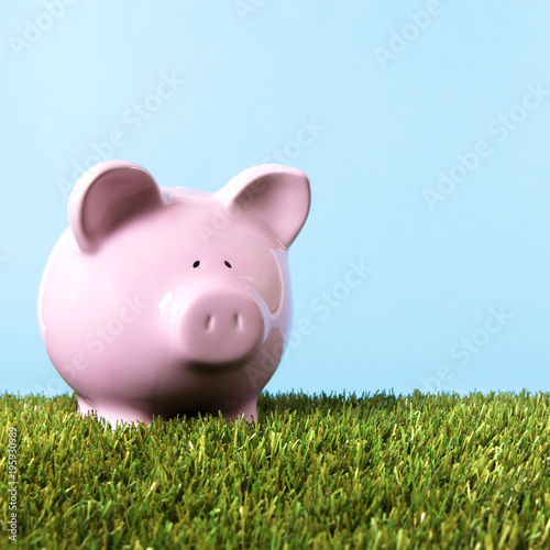 Pink piggy bank or piggybank in a summer meadow or field green grass blue sky planning money for rainy day retirement or vacation photo square format