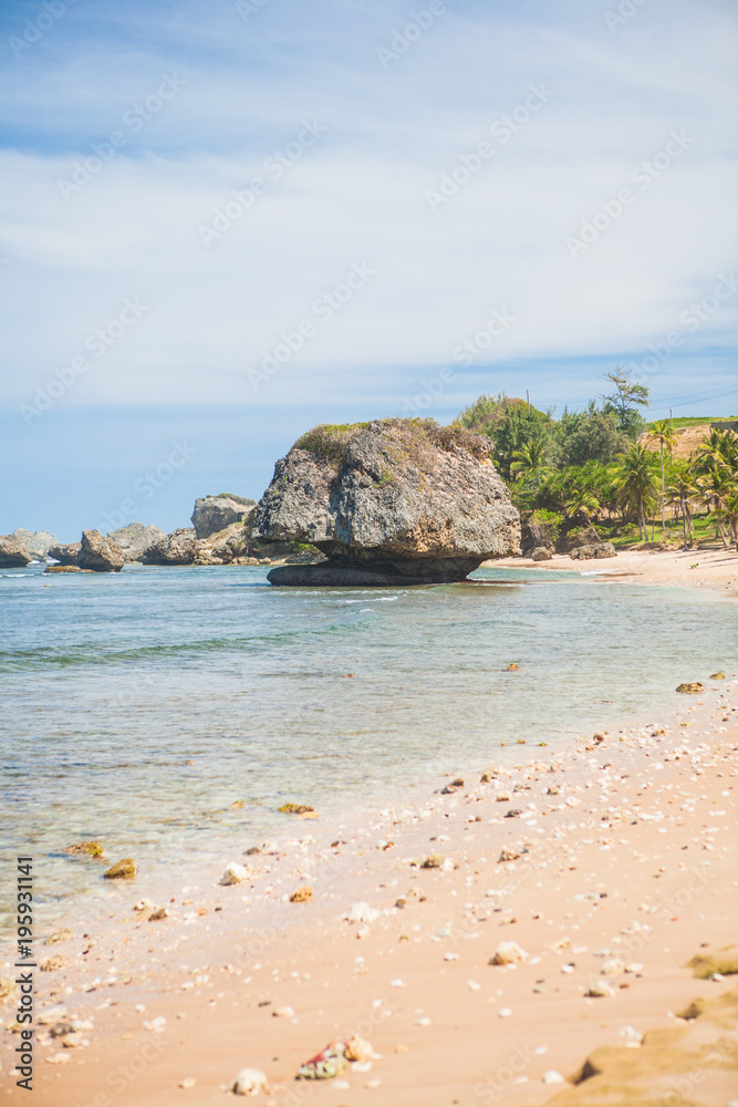 Sea-stacks on Bathsheba Beach in Barbados, Sand, Palm Trees	