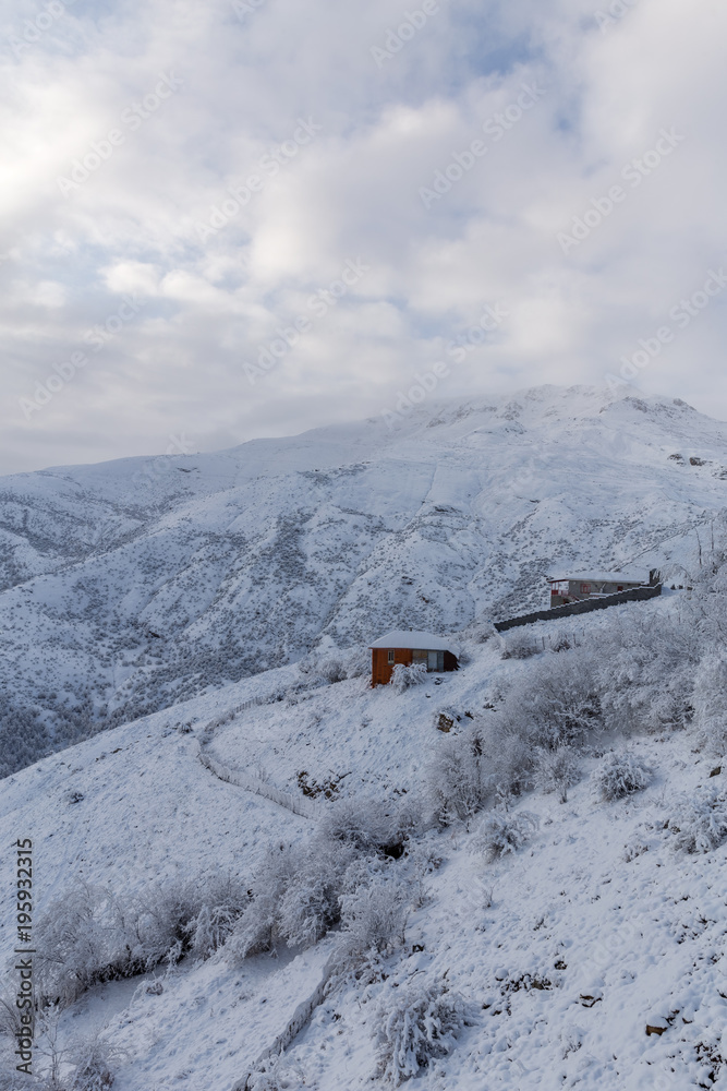 Obraz premium Abandoned in Winter, Mazandaran, Iran