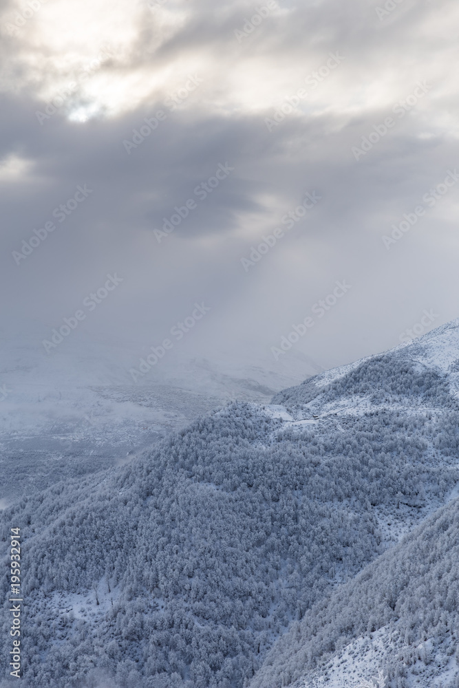 Obraz premium Frozen Forest in Filband, Mazandaran, Iran