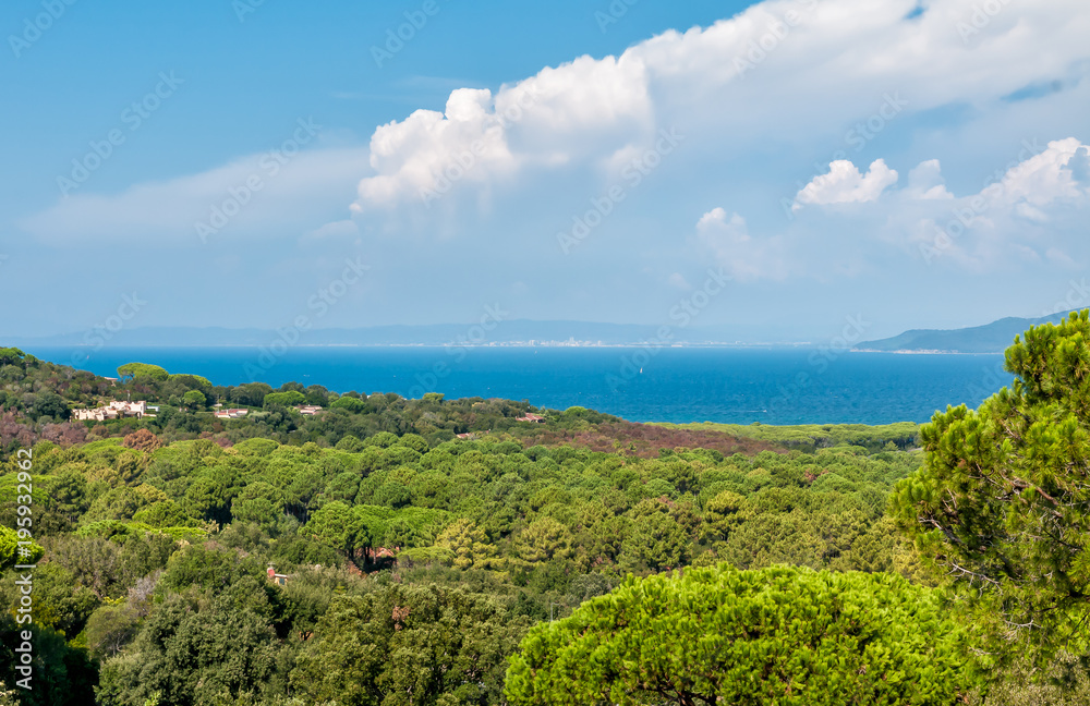 Landscape of sea with blue water, trees and clouds, Tuscany, Italy