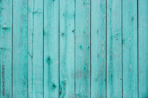 Light blue, green wood plank surface texture, wooden board background with copy space.