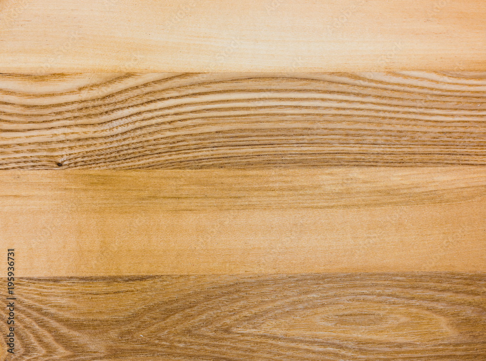Linden and Ash wood texture A fragment of a wooden panel hardwood Linden and Ash wood texture A fragment of a wooden panel hardwood