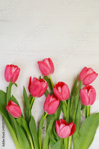 Fototapeta Naklejka Na Ścianę i Meble -  Red tulips on wooden background.