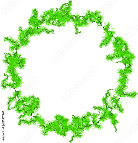Green Moss Fiber Sprouts Round Frame -   Filamentary Plexus Bundle
