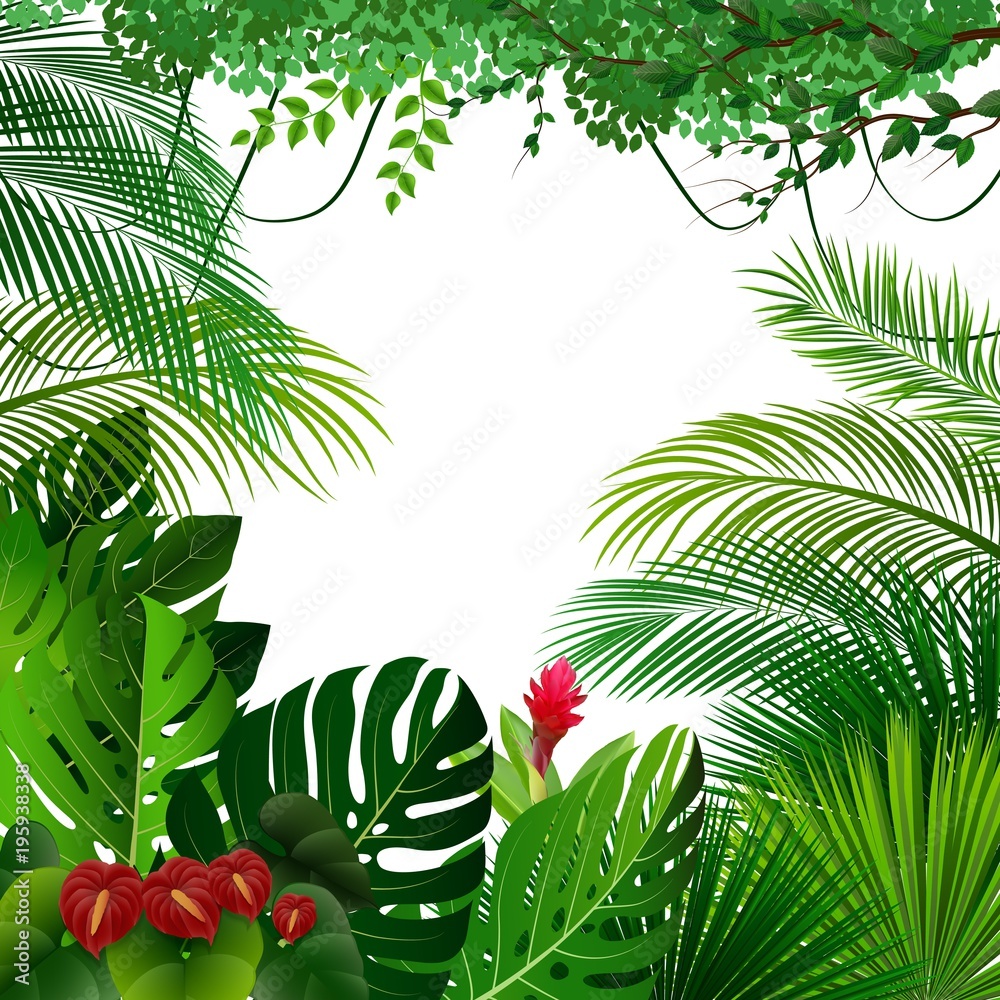 Obraz premium Tropical jungle background