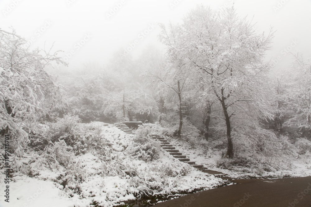 Naklejka premium Filband's Road, Mazandaran, Iran
