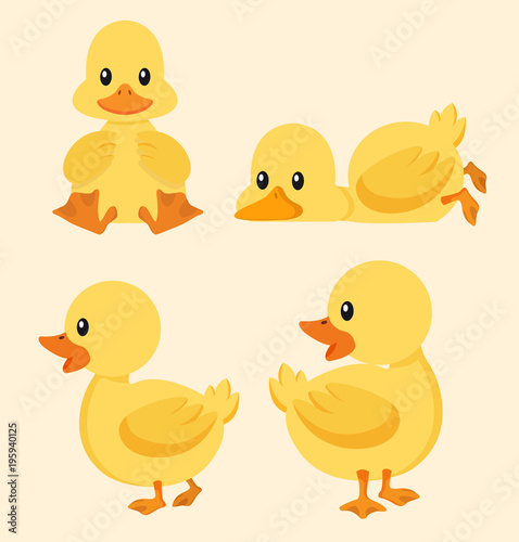 Cute yellow duck set