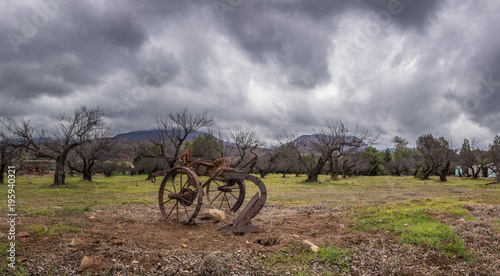 Foto Vintage and rustic plow trailer in foreground of tree orchard in winter under blustery rain clouds