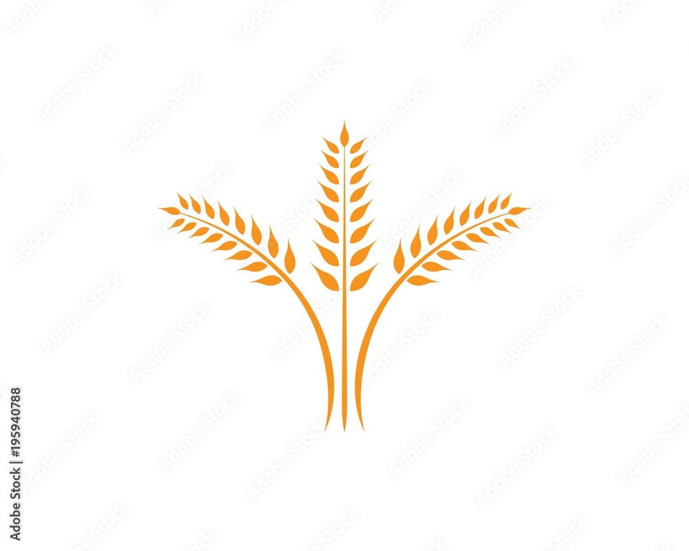 wheat Logo Template vector icon design wheat Logo Template vector icon design