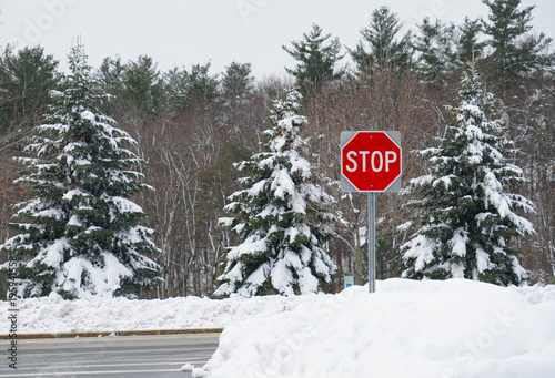 stop sign in front of the forest in snow © nd700