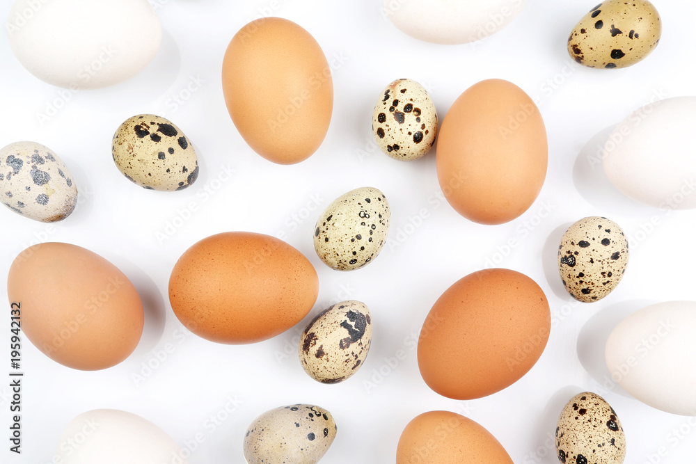 different chicken eggs lying randomly on white background. different chicken eggs lying randomly on white background.