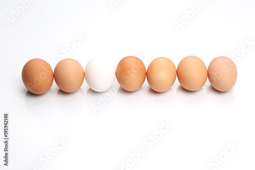 chicken eggs lie in a row on white background.