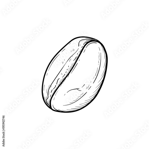 Coffee bean hand drawn outline doodle icon