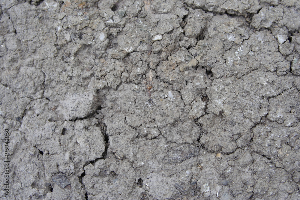 Dry Ground Soil Dry Ground Soil