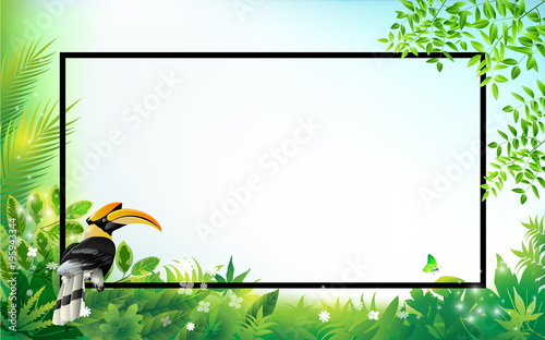 Exotic Toucan Bird, Colorful Hibiscus Flowers Blossom and Tropical Leaves