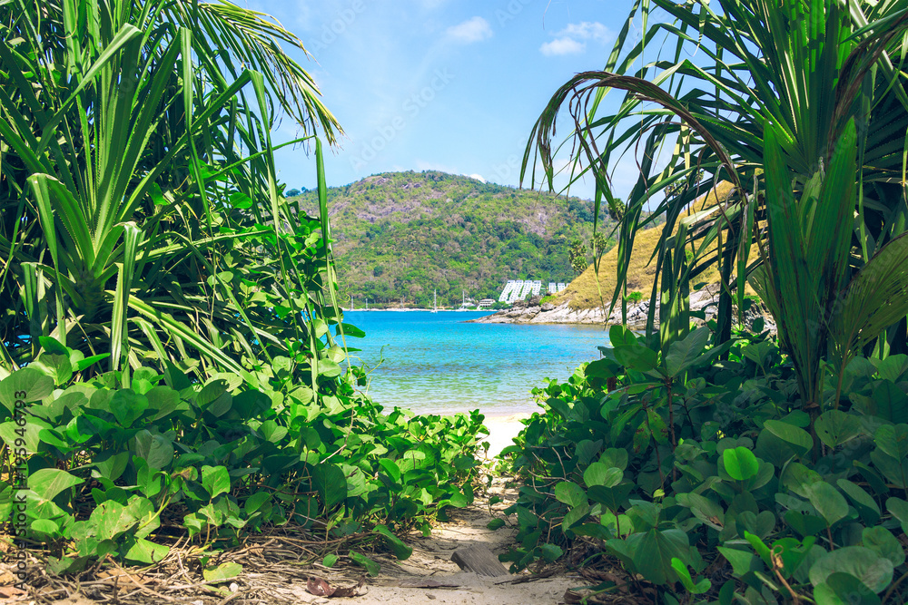 Picturesque view of Andaman sea in Phuket island, Thailand. View through the jungle on the beautiful bay and mountains. Tropical beach at the exotic island.