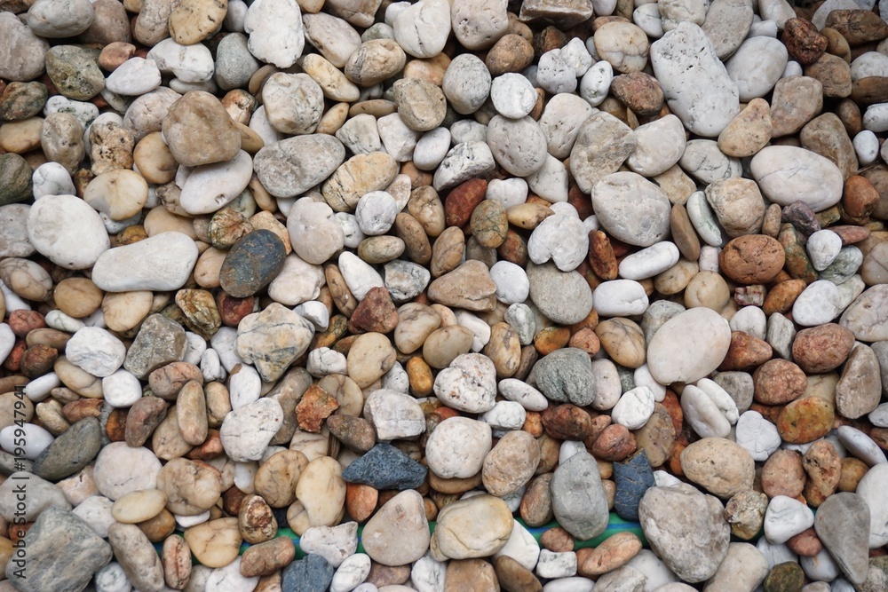 color of tiny rock color of tiny rock