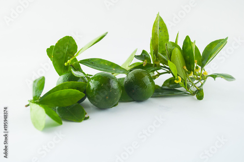 Lime. Fresh fruit with leaf isolated on white background. 