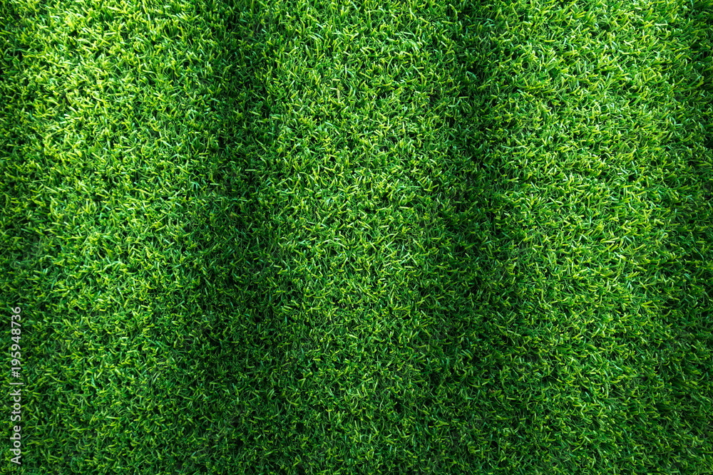 Obraz premium Grass field texture for golf course, soccer field or sports background concept design. Artificial grass.