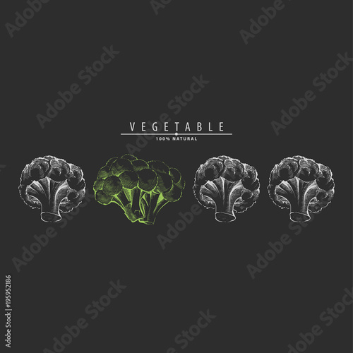 Ripe cauliflower illustration