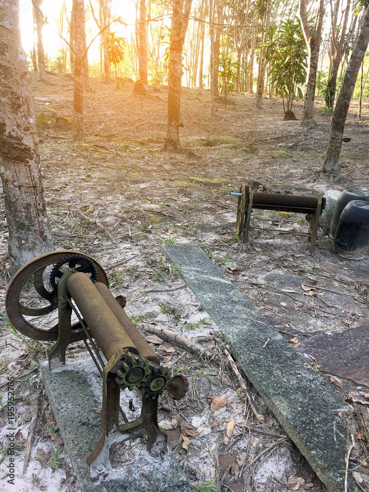 Old local Rubber extrusion machine used by hand in tapping rubber, Rubber plantation lifes, Rubber trees in Thailand. Old local Rubber extrusion machine used by hand in tapping rubber, Rubber plantation lifes, Rubber trees in Thailand.