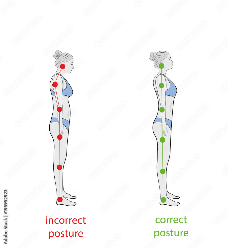 Correct alignment of human body in standing posture for good ... Biology Diagrams