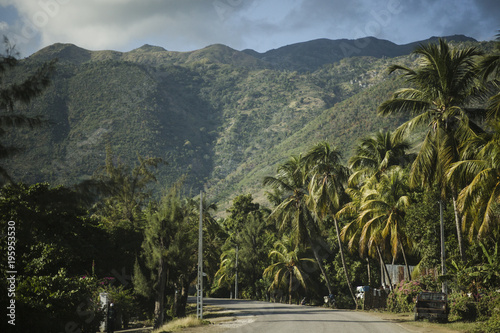 Quadro su tela Haitian mountains, road with palm trees