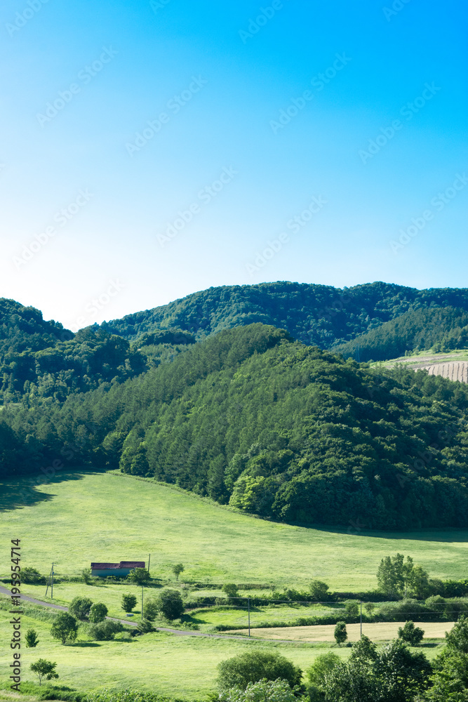 Fototapeta premium 丘の風景 富良野