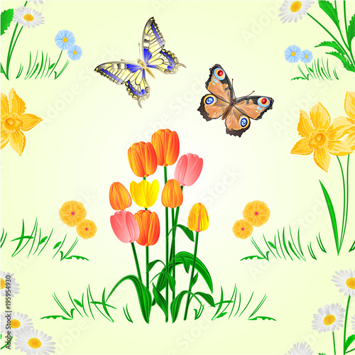 Seamless texture Happy Easter decoration daffodil and tulips on green grass and butterfly, pussy willov and bow. Spring flowers set four vector illustration editable hand draw